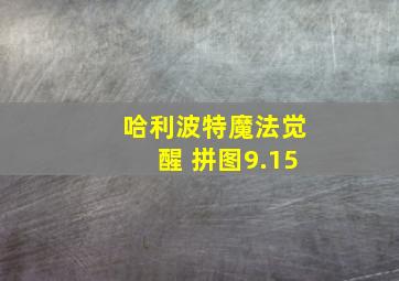 哈利波特魔法觉醒 拼图9.15